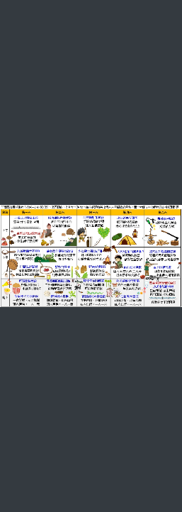 大樹聚 島航去